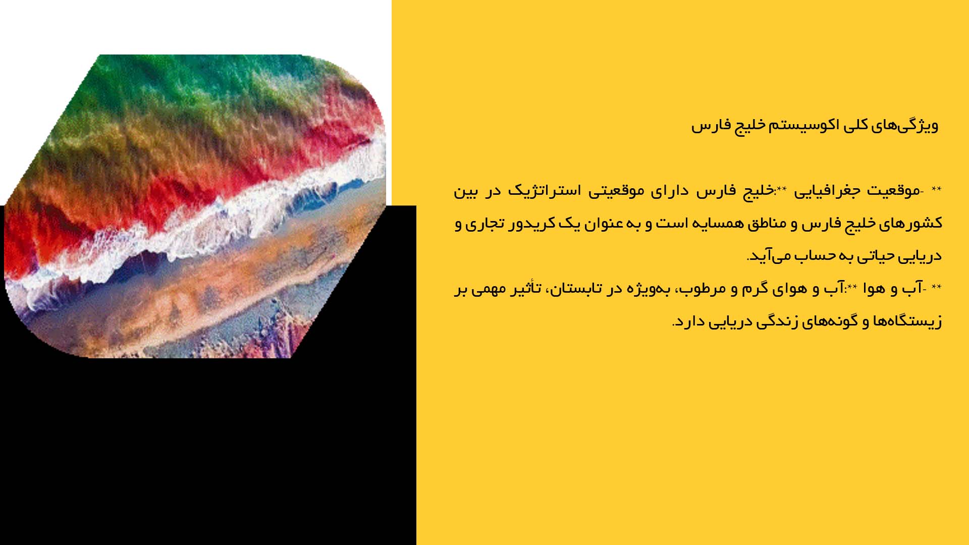 پاورپوینت در مورد معرفی اکوسیستم خلیج فارس